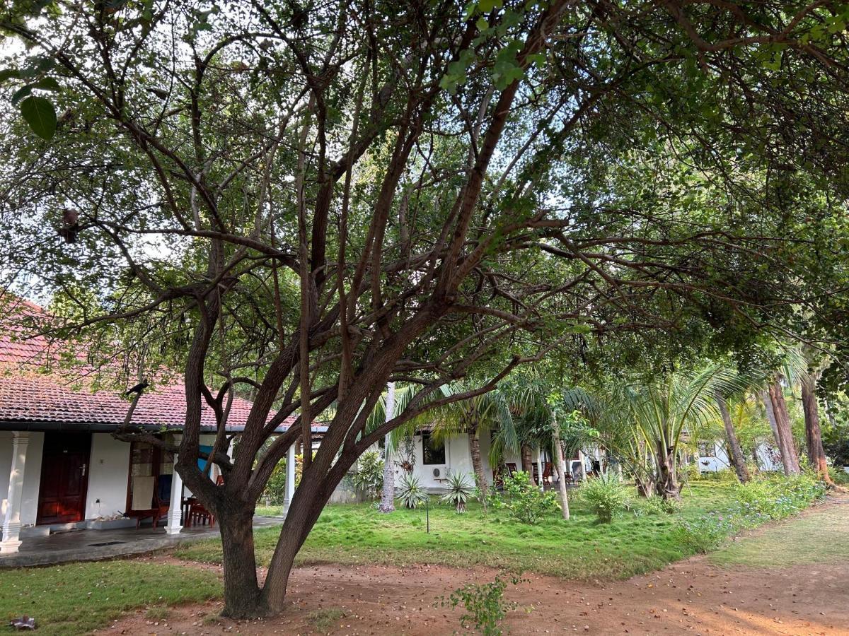 108 Palms Beach Resort Trincomalee Bagian luar foto