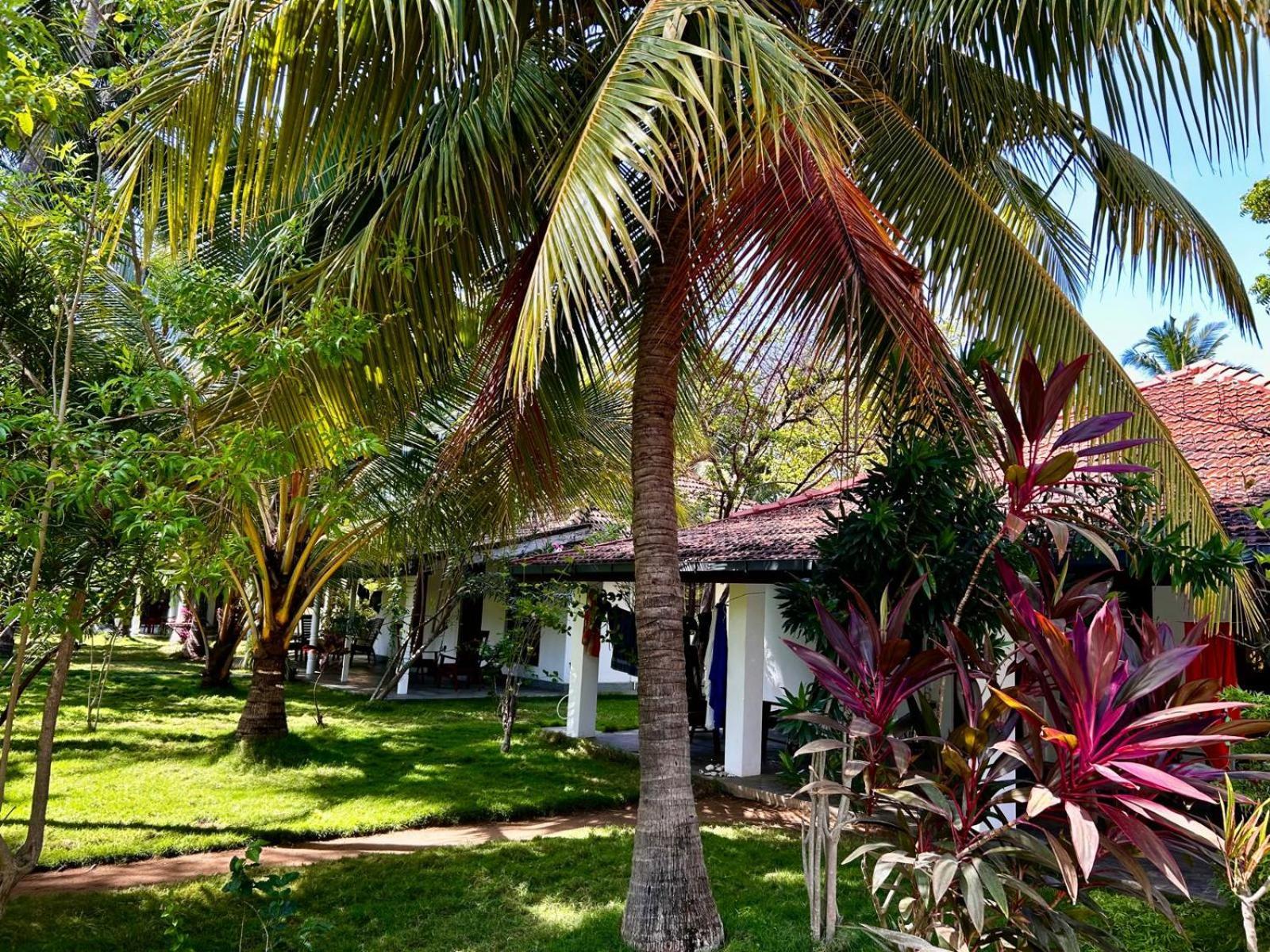 108 Palms Beach Resort Trincomalee Bagian luar foto